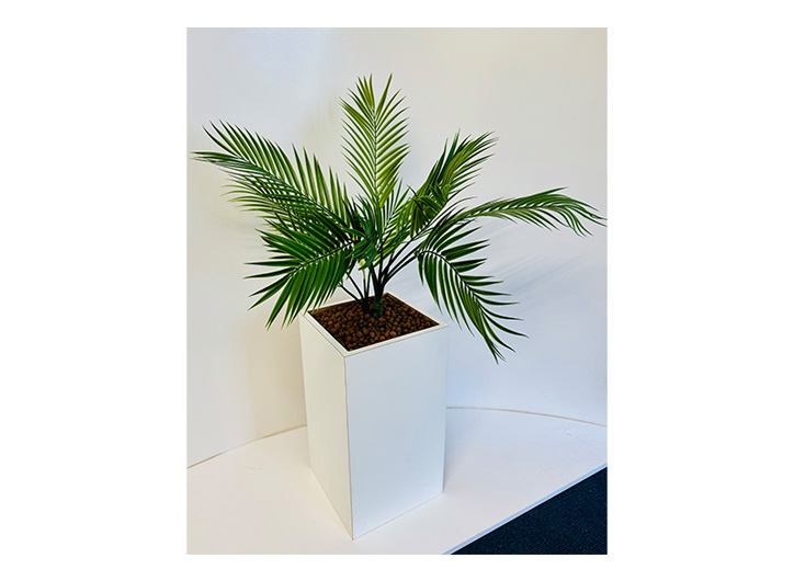 White laminated planter box with plant